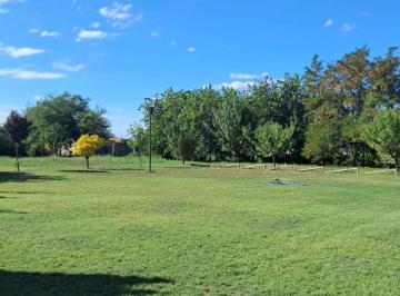 Terreno , Rodeo del Medio · Venta Lote + Salon de Eventos!, Rodeo del Medio a Pasos de Acceso Este