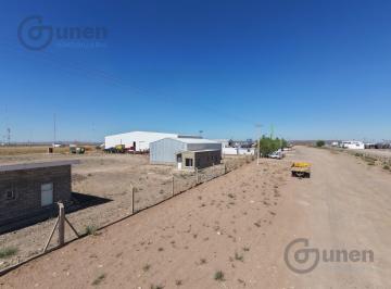 Bodega-Galpón · 250m² · 2 Ambientes · Galpón - Añelo