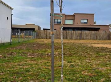 Terreno · 535m² · Terreno Lote en Venta en Santa Elisa, Pilar del Este, Pilar
