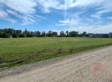 Terreno · 2000m² · Terreno Central en Venta en San Roque - Comarcas de Luján, Lujan