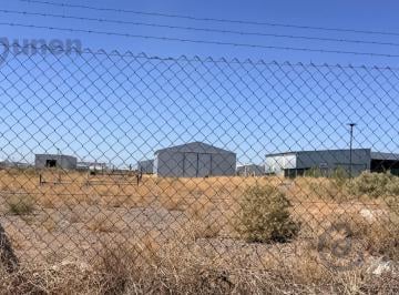 Bodega-Galpón · 250m² · 1 Ambiente · Galpón - Añelo
