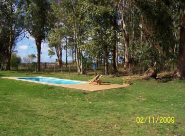 Campo · 50000m² · 5 Ambientes · 5 Cocheras · Chacra en Venta Camino Medellín – 5 Hectáreas, 5 Unidades Independientes, Piscina y Gran Potencial D