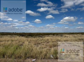 Campo · 28ha · Finca Inculta de 28,8 Has en Venta en Perdriel