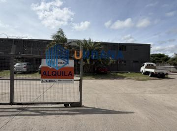 Bodega-Galpón · 1000m² · Galpon 500 m² o 1.000 m² Predio Zona Circunvalacion Sur