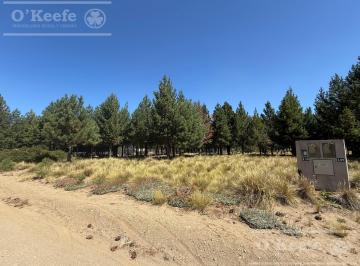 Terreno · 1158m² · Lote Plano en Dos Valle
