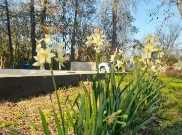 Casa de 6 ambientes, La Plata · Venta de Casa Quinta en Arana - La Plata