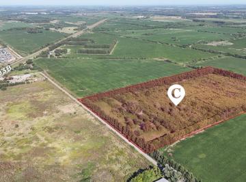 Campo · 120m² · 2 Ambientes · Campo de 9 Hectáreas con Excelente Proyección Industrial. Camino Costa Brava, Zárate