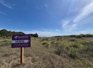 Terreno , Pavón · Hectárea en Paraje Pavón