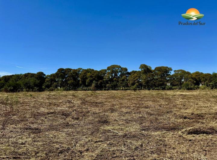 Terreno · 392m²