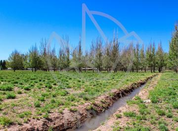 Terreno · 35000m² · Terreno 3.5 Ha con Pozo, Gas y Agua Corriente en Malargue