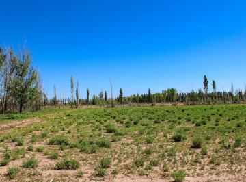 Terreno · 40000m² · Terreno Industrial 4 Ha con Pozo, Gas y Agua Corriente en Malargue