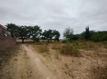 Terreno · 1020m² · Terreno en San Pedro - Lote 12 m X 85 m