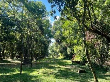 Terreno · 1102m² · Terreno Venta Misiones Ideal Emprendimiento Cabañas