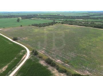 Campo , Lozada · 32 Has Agrícolas Lozada, Cordoba