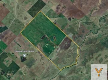 Campo · 3300000m² · Campo en Venta - m² - Bolivar