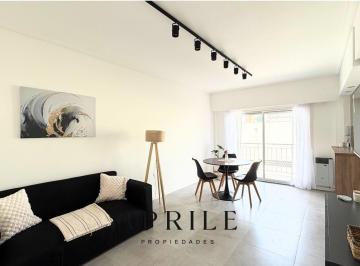 Departamento · 44m² · 2 Ambientes · 1 Cochera · Departamento 2 Ambientes Reciclado y Amueblado con Balcón y Cochera – Zona Plaza Mitre