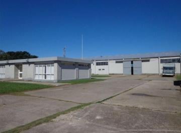 Bodega-Galpón , Mar del Plata · Planta en Venta