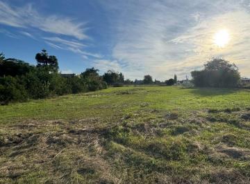 Terreno · 356m² · Terreno en Venta - 356 m² - San Miguel del Monte