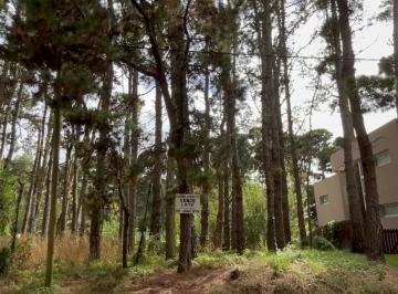Terreno , Mar Azul · Retasado - Dueño Directo Vende Lote en Mar Azul - Sin Comisiones - con Escritu