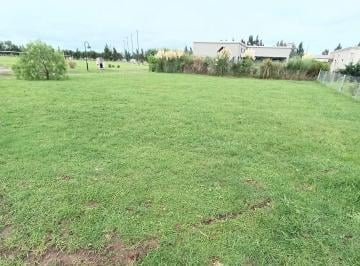 Terreno · 6400000m² · Lote en Venta con Hermosa Ubicación. Horizontes Al Sur Canning. Financiación.