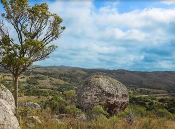Campo · 30000m² · Chacra en Aiguá