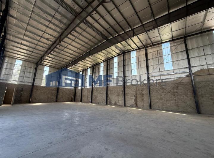Bodega-Galpón · 600m²