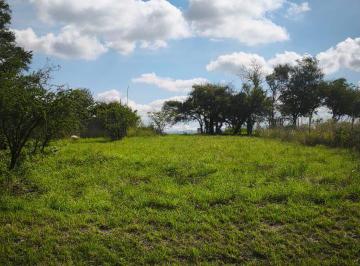 Terreno · 620m² · Terreno - Rio Ceballos