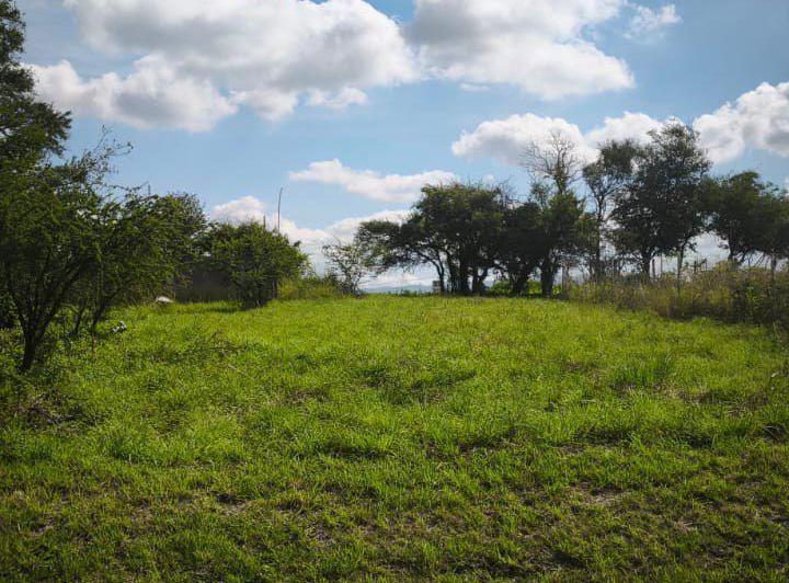 Terreno · 620m²