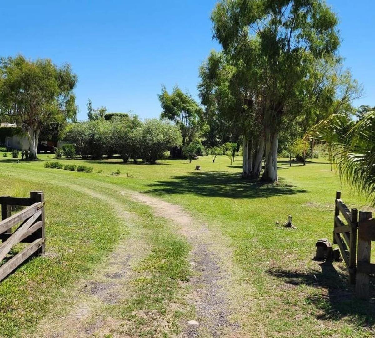 Ruta 9, Km 137, B2942 Baradero, Provincia De Bueno