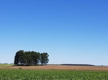 Campo · 4600000m² · En Venta! Excelente Campo de 460 Hectáreas con Acceso Asfaltado - Entre Ríos San Salvador