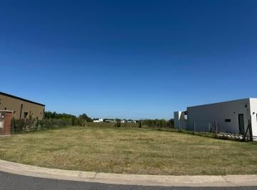 Terreno · 665m² · Adg. Oportunidad! Lote en San Sebastián Área 13