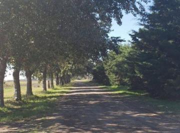 Terreno · 300m² · Lote en Venta Barrio El Plateado Pueblo Esther