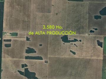 Campo , Quimilí · Vendo Estancia Agrícola 3580 Ha Premium en Quimili, Santiago del Estero