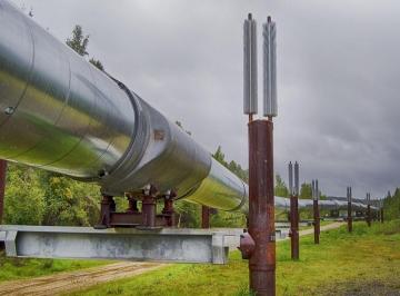 Campo , Neuquén · Vendo Establecimiento Rural Zona Estratégica Cuenca Petrolera Neuquen