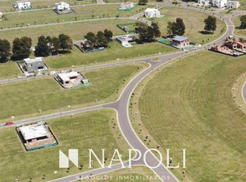 NNI-NNI-3818_2 · Venta de Lote en San Antonio, Canning