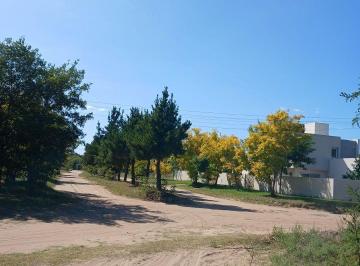 DIT-DIT-6352_2 · Lote. | Cordoba