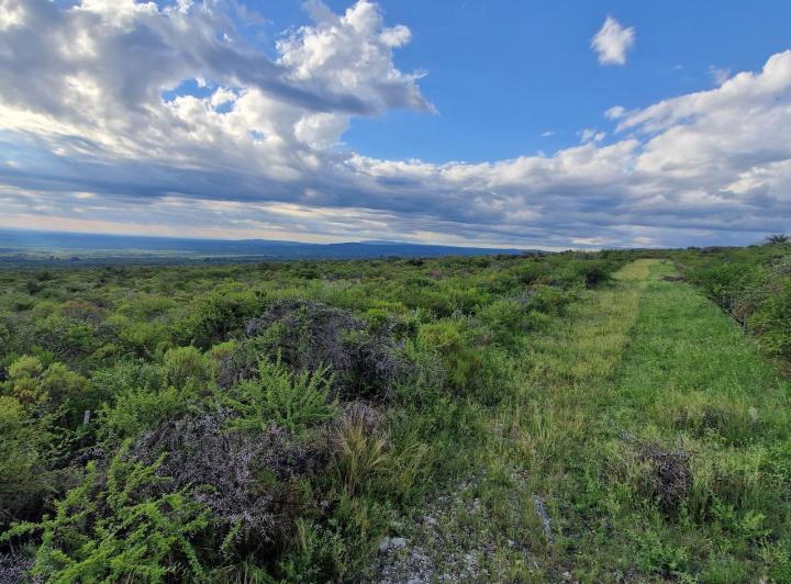 Terreno · 10000m²