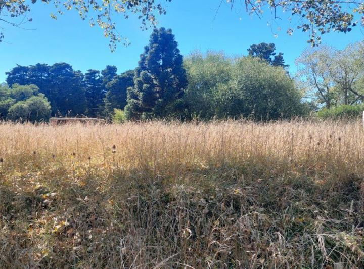 Terreno · 339m²