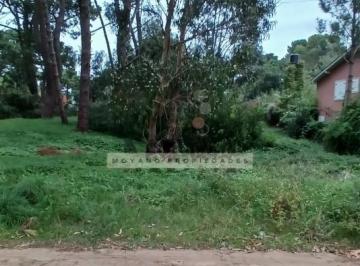 Terreno · 525m² · Lote en Venta - Calle Segui Entre Cabral y Nuñez de Balboa