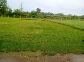 Lote 240 mts 2 con escritura · Disponible Excelente Lote Listo Para Comenzar Tu Proyecto