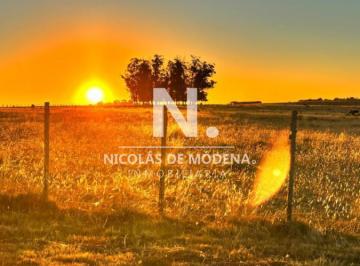 Foto1 · Oportunidad Venta de Chacra 21 Has Zona de Laguna Jose Ignacio