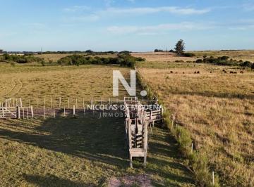 Foto1 · Oportunidad Venta de Chacra 18 Has 795 m² Zona Zanja de Chavez