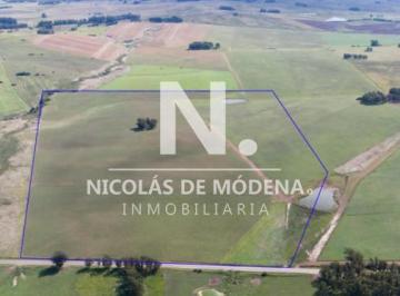 Foto1 · Campo de 42 Hectáreas con Alto Potencial de Inversión y Fraccionamiento - Ruta 104 & Camino del Mede