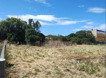 Terreno · 450m² · Terreno - Barranca de Los Lobos