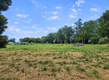 Campo · 9000m² · 1 Ambiente · Fracción de 9.000 m² en Alquiler–ideal Emprendimiento Sicardi