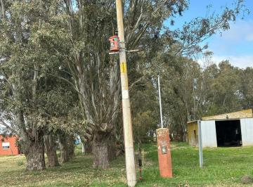 Campo · 300m² · 3 Ambientes · Campo - Dolores