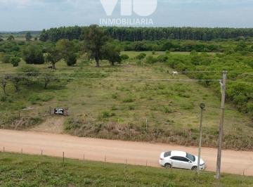 Terreno · 5800m² · Terreno en Ejido Colon