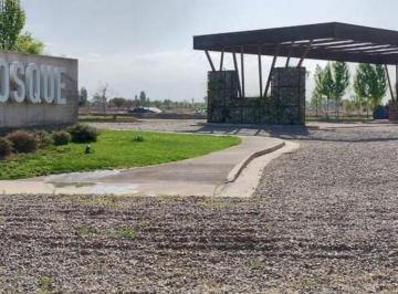 Terreno , Maipú · Vendo Lote en Barrio El Bosque