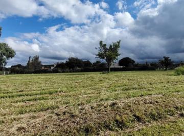 Terreno · 1985m² · Terreno en Venta Country Las Delicias
