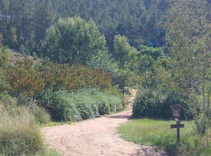 Terreno · 10305m²